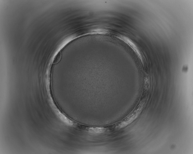 X0000098000859200804071216