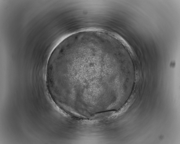 X0000098000860200804071216