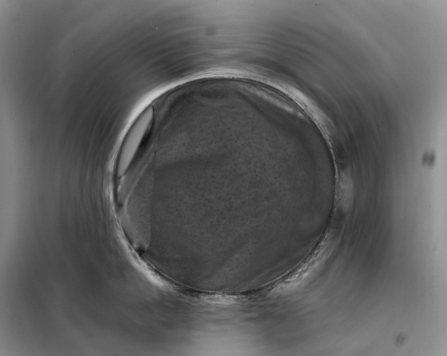 X0000098000862200804071216