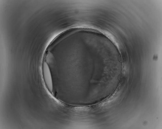 X0000098000863200804071216