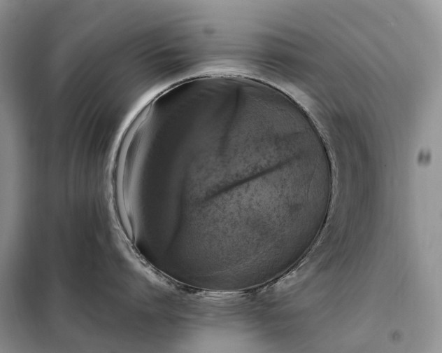 X0000098000864200804071216