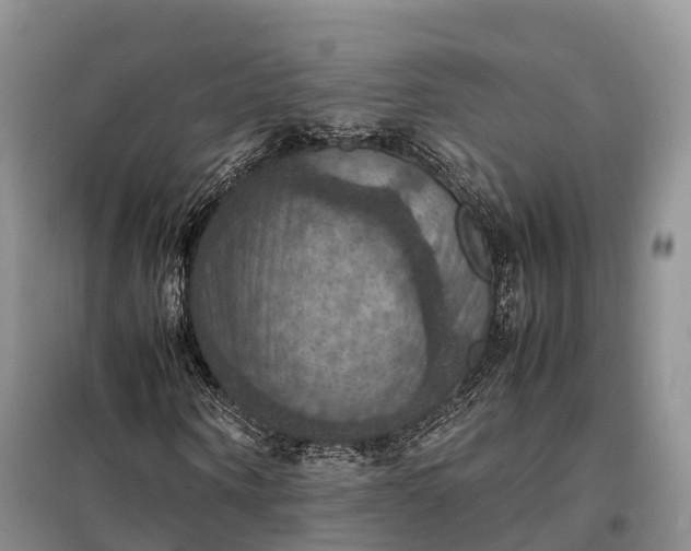 X0000098000866200804071215