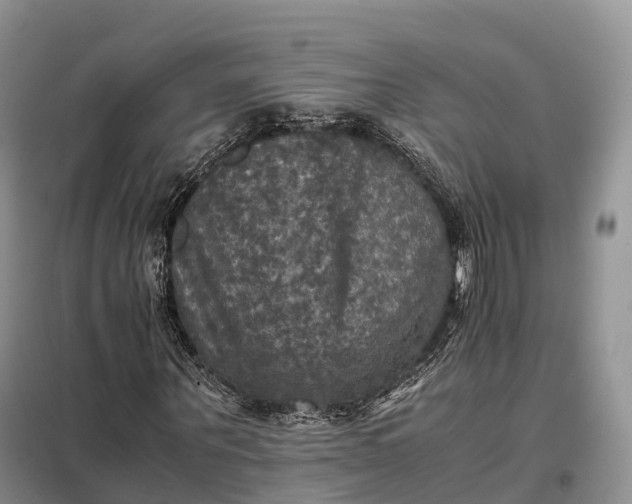 X0000098000867200804071215