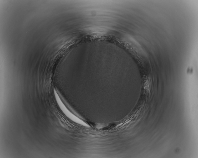 X0000098000868200804071215