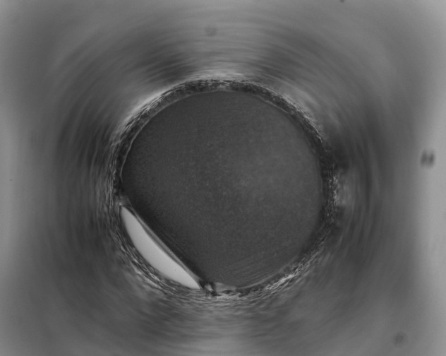 X0000098000872200804071215