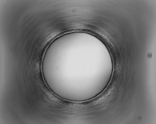 X0000098000873200804071215
