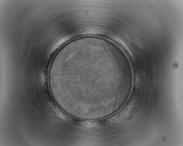 X0000098000874200804071215