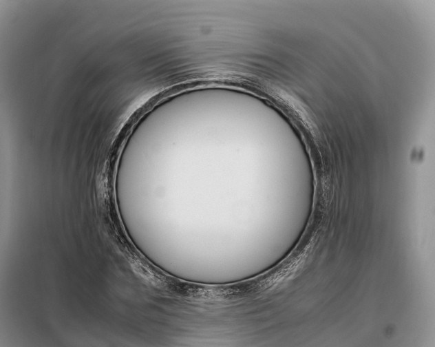 X0000098000875200804071215