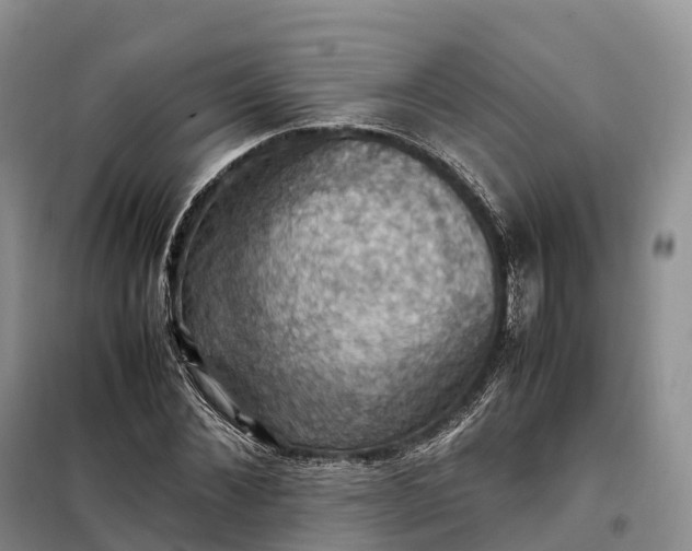 X0000098000876200804071215