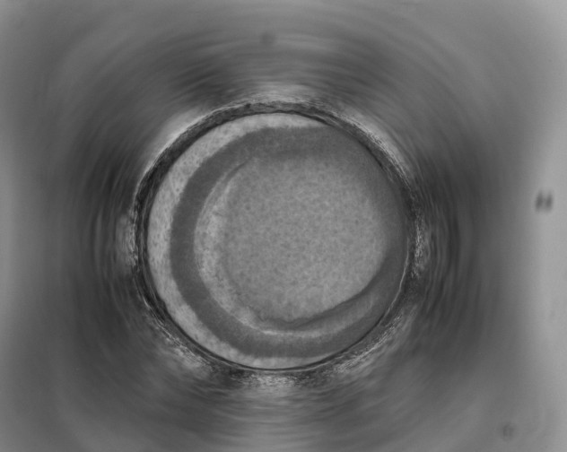 X0000098000878200804071215
