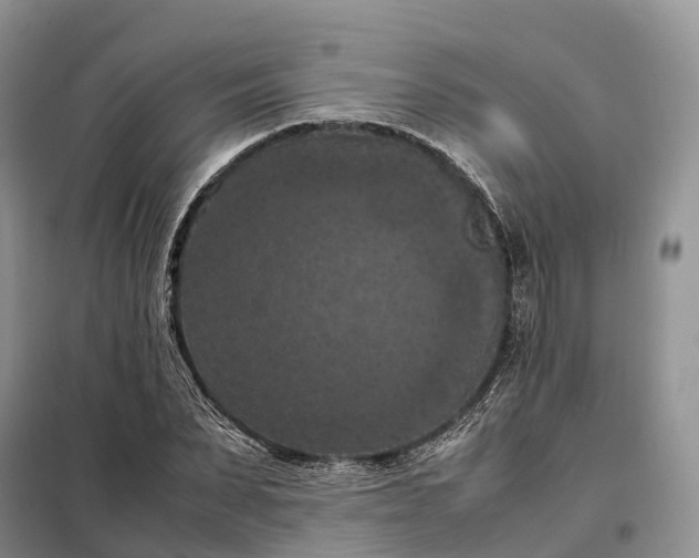 X0000098000879200804071215