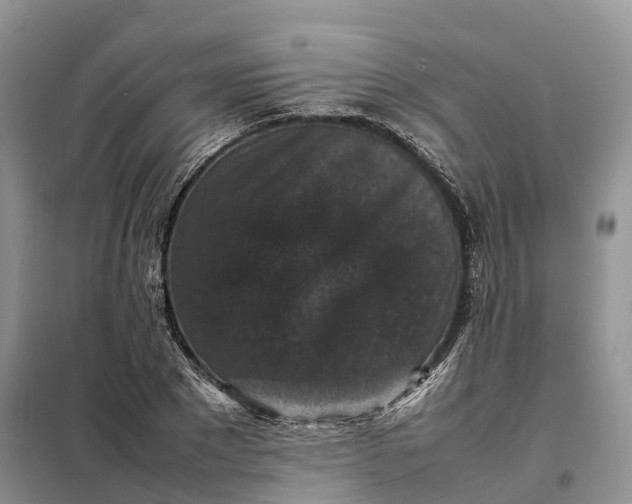X0000098000881200804071215