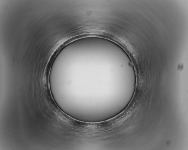 X0000098000883200804071215