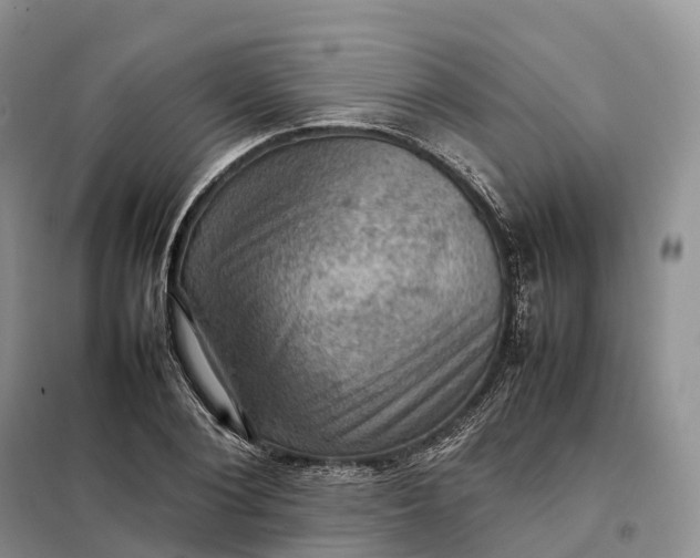 X0000098000884200804071215