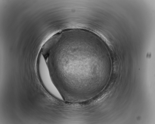 X0000098000885200804071215