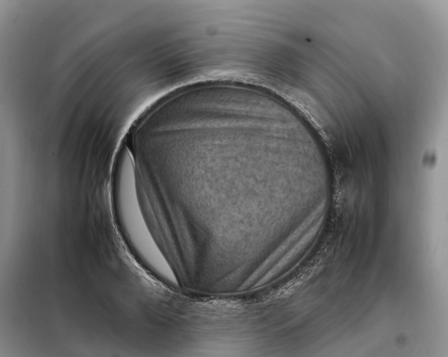 X0000098000888200804071215