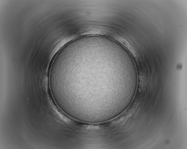 X0000098000890200804071215