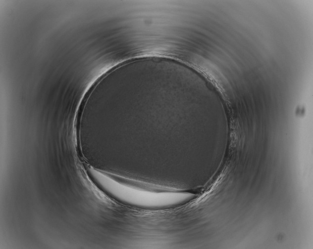 X0000098000892200804071215