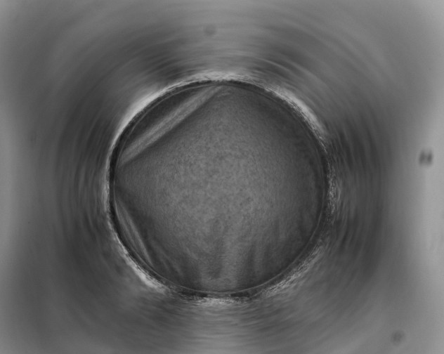 X0000098000894200804071215
