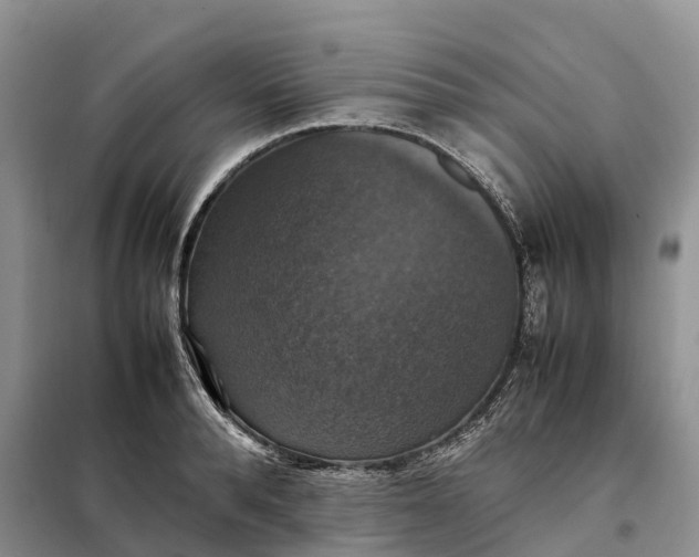 X0000098000896200804071215