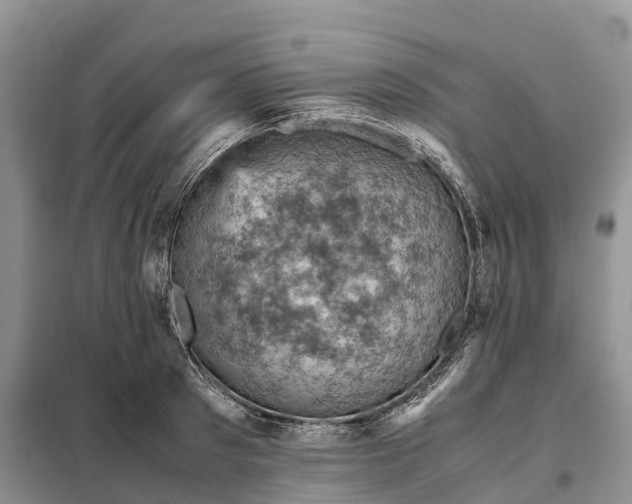 X0000098000897200804071215