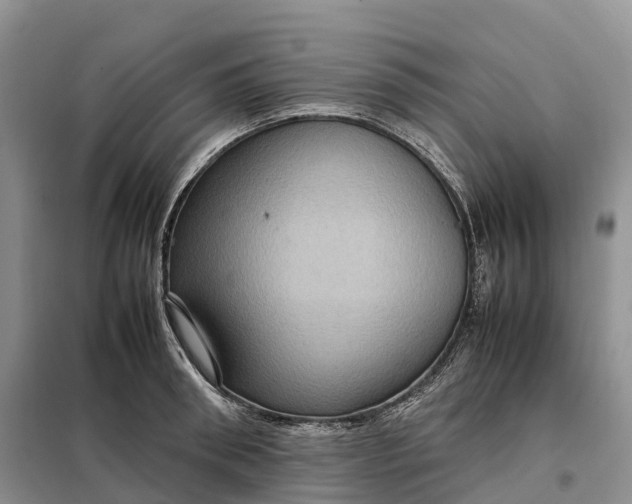 X0000098000898200804071215