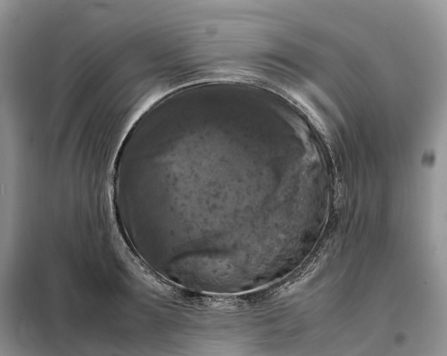 X0000098000899200804071215