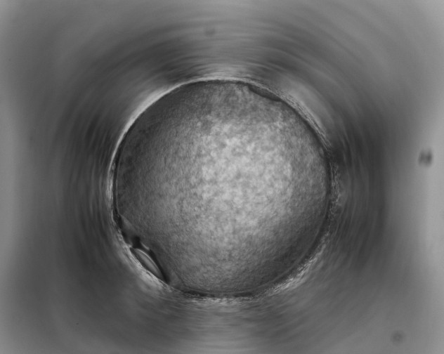 X0000098000900200804071215