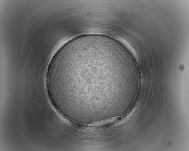 X0000098000901200804071215