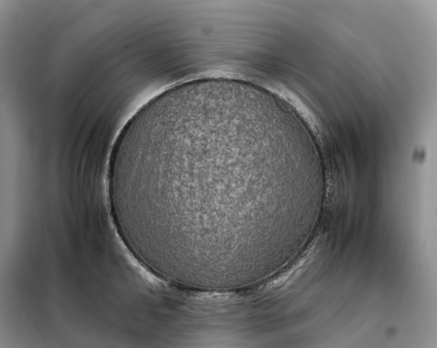 X0000098000902200804071215