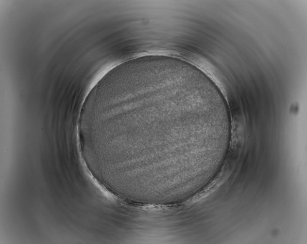 X0000098000906200804071215