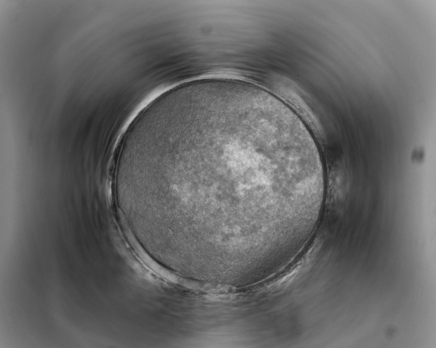 X0000098000908200804071215