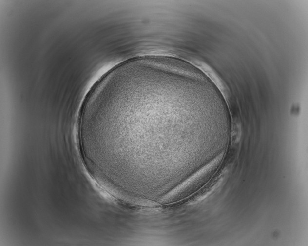 X0000098000909200804071215