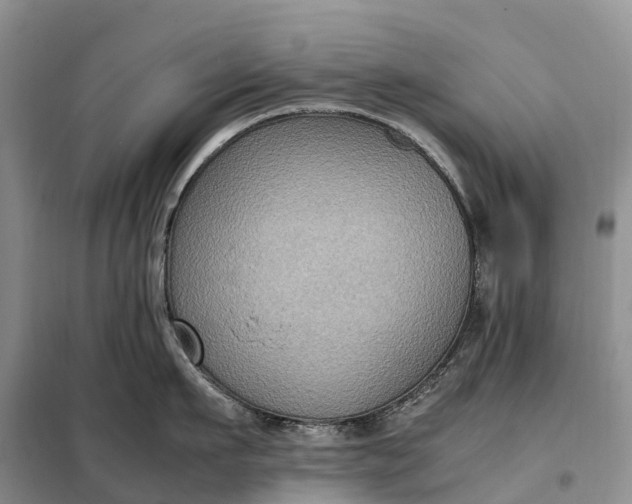 X0000098000911200804071215