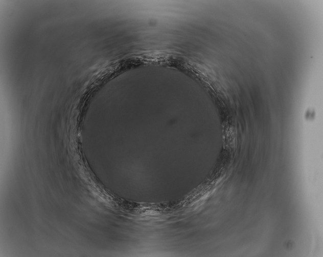 X0000098000913200804071214
