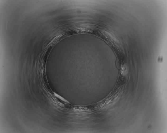 X0000098000915200804071214
