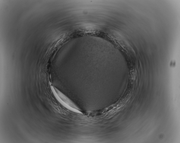 X0000098000916200804071214