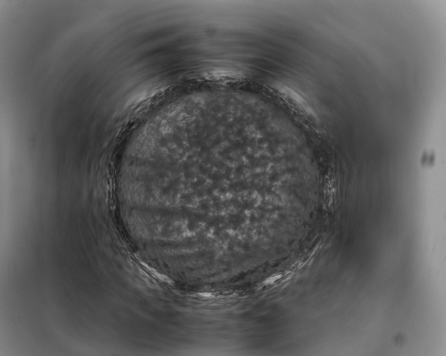 X0000098000917200804071214