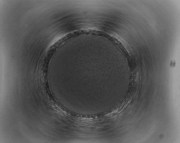 X0000098000919200804071214