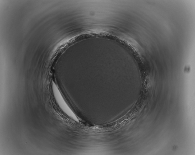 X0000098000920200804071214