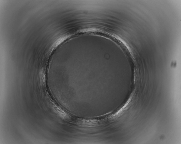 X0000098000921200804071214