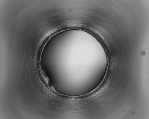 X0000098000922200804071214