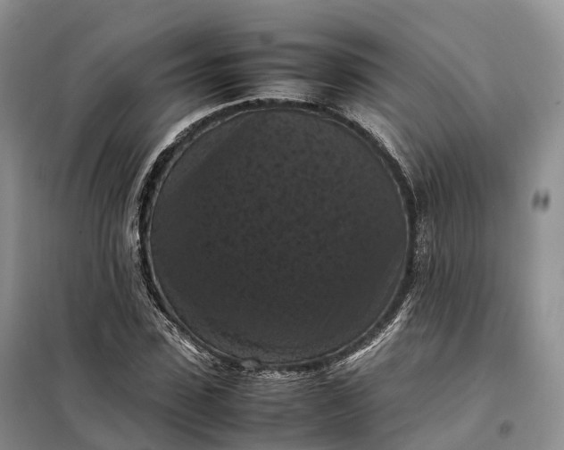 X0000098000923200804071214