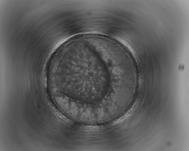X0000098000925200804071214