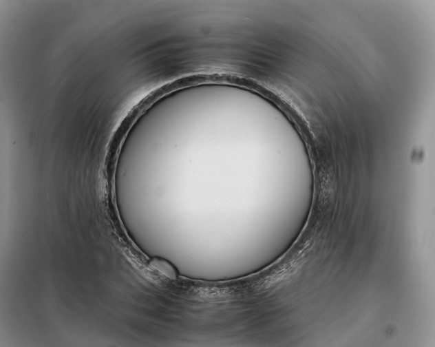 X0000098000927200804071214