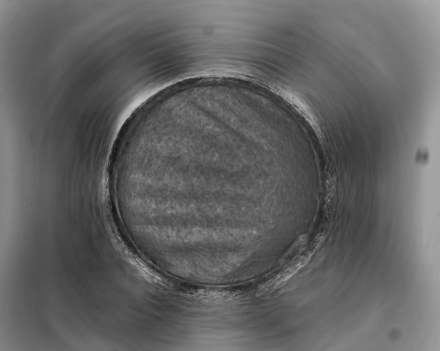 X0000098000928200804071214