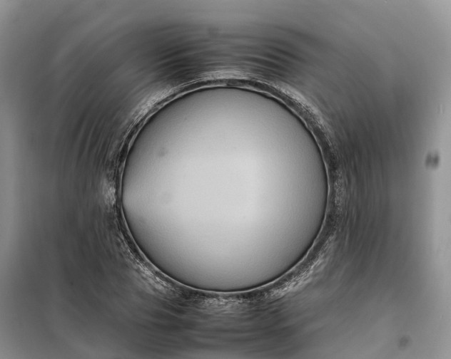 X0000098000929200804071214