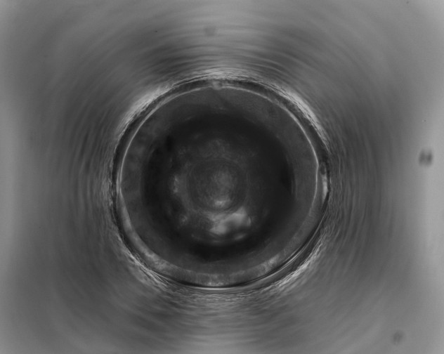 X0000098000930200804071214