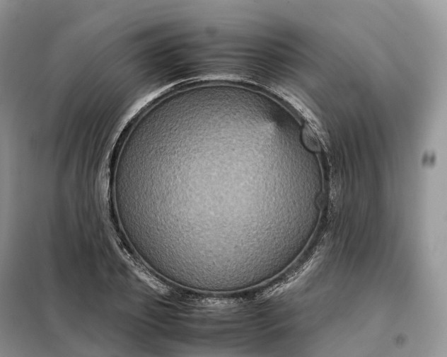 X0000098000933200804071214