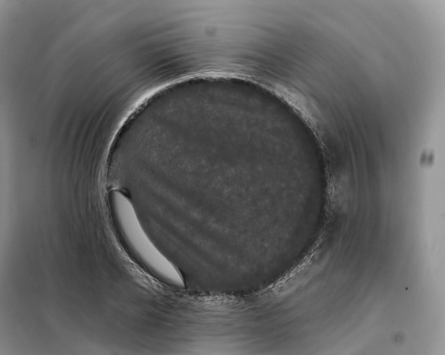 X0000098000934200804071214